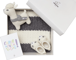 Pregnancy gift new mom newborn baby announcement shower boy girl off white Baptism knit blanket toy booties pregnant sister friend 11/11