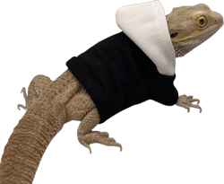 Lizards Clothes for Bearded Dragon Cotton Hoodies Leopard Gecko Costume, Reptile Hoodies Apparel for Skin Protection