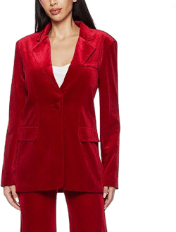 Premier Amour Women's Regular Fit Velvet Blazer