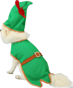 Mogoko Dog Cat Christmas Costume, Dog Cat Green Christmas Elf Costume, Funny Pet Cosplay Dress with Cap, Puppy Fleece Outfits Warm Clothes for Xmas (XL) Neck Girth: 16.1", Chest Girth: 23.2"