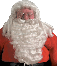 Santa Wig and Beard Set