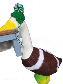 Football Fan Goose Outfit