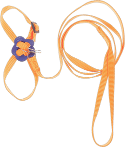 Balacoo Adjustable Reptile Lizard Harness Leash: Turtle Lizard Traction Belt Bearded Dragon Accessories Crested Gecko Guinea Pig Harness Rope