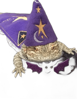 Bearded Dragon Wizard Hat and/or Cape and/or Cape and Hat Costume