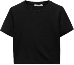 Zara Women's Cropped Stretch T-Shirt