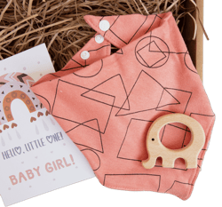 Bib and Toy Set, Dribble Bibs, %100 Cotton and Absorbent, Cotton Bibs, Baby Shower Gift, Newborn Gift, Baby Girl Gift