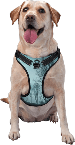 Night Forest No Pull Dog Harness for Large Dogs No Pull Dog Leash, Adjustable Large Dog Harness Reflective Dog Vest Harness, Easy Walk Dog Harness for Medium Dogs No Pull Pet Harness