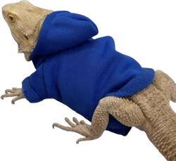 HOKABLE Lizard Clothes