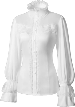 Victorian Lotus Lace Stand Collar Long Sleeve Shirt