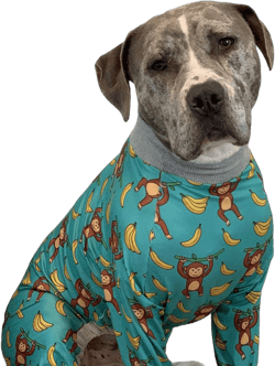 Tooth and Honey Pitbull Pajamas/Monkey Banana Print Dog Onesie Jumpsuit Full Coverage Lightweight Pullover Dog pjs