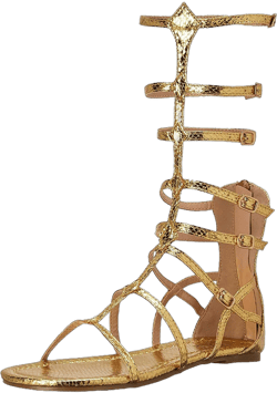 Ellie 015-zena Gladiator Flat Sandal