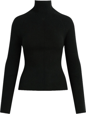 Joe's Jeans Women's The Palmer Turtleneck Sweater