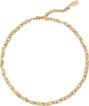 Coach Women's Signature Chain Link Choker Necklace