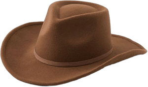 Aerie Women's Felt Cowboy Hat