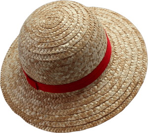 One Piece Anime Monkey D. Luffy Straw Hat