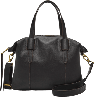 Fossil Women's Skylar Leather Satchel