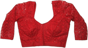 Designer Embroidery Net Saree Blouse