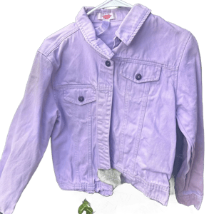 Lavender Jean Jacket | Color: Purple | Size: M | Lilikoikoi's Closet