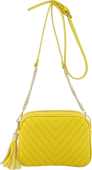 Simple Shoulder Crossbody Bag with Chain Strap and Tassel Top