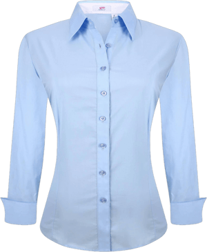 Women's Regular Fit Stretch Long Sleeve Button Down Shirt