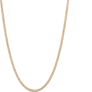 Mejuri 14K Yellow Gold Flat Curb Chain Necklace