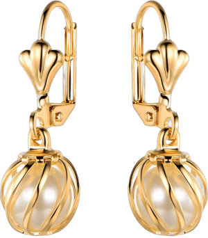 Barzel 18K Gold Plated Pearl Drop Earrings Caged