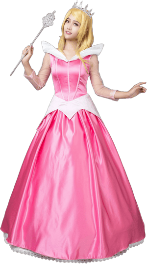 Princess Cosplay Ball Gown Dress