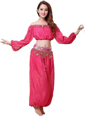 ZLTdream Belly Dance Chiffon Long Sleeve Top and Lantern Coins Pants