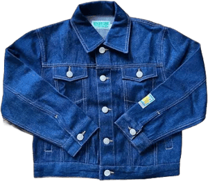 Pokemon Pocket Monsters Advanced Generation Denim Jacket For Kids Or