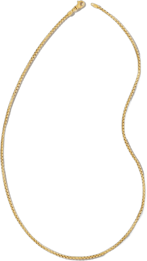 Kendra Scott Scott Bros. Beck Thin Round Box Chain Necklace