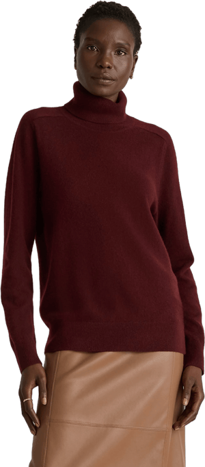 Quince Mongolian Cashmere Turtleneck Sweater