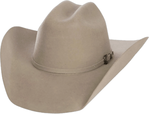Cavender's Cowboy Collection Men's Premium Wool Cowboy Hat with 3X Stone