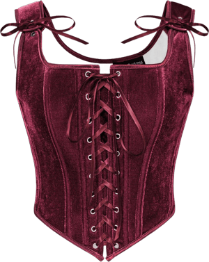 Scarlet Darkness Women's Renaissance Velvet Lace Up Overbust Corset Top