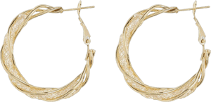 Eye Candy Los Angeles Luna Twist Hoop Earrings