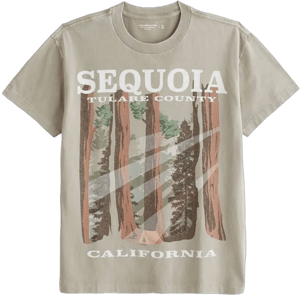 Abercrombie & Fitch Men's Sequoia Graphic Tee