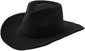 Aerie Women's Felt Cowboy Hat