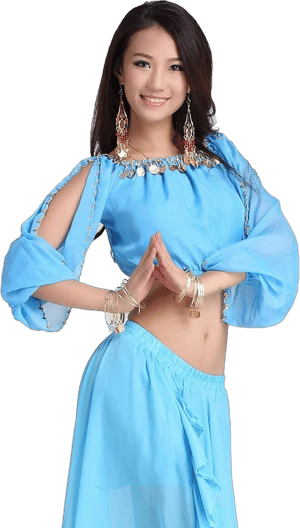 ZLTdream Lady's Belly Dance Long Sleeve Chiffon Top