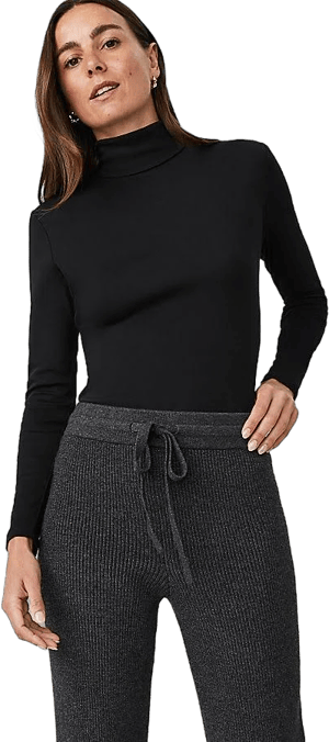 Ann Taylor Women's Turtleneck Top