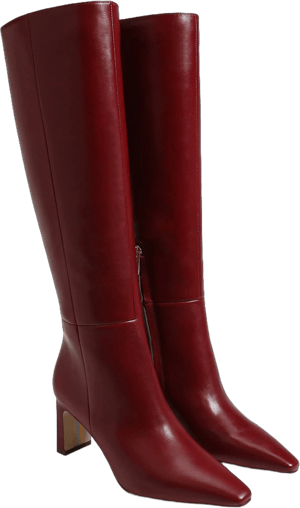 Sam Edelman Women's Sylvia Knee High Boot