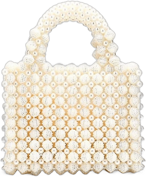 Pearl Beaded Dinner Bag