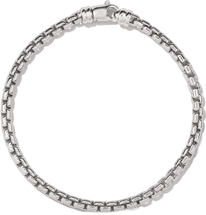 Mejuri Round Silver Chain Bracelet