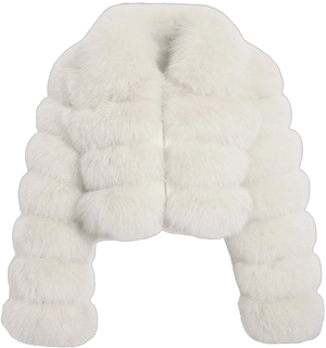 Fluffy Faux Fur Cropped Jacket