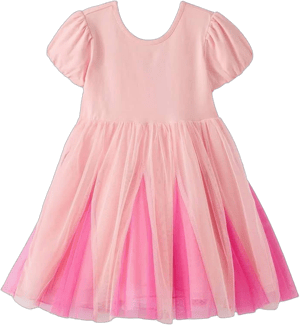 Girls' Hanna Andersson Disney Princess Aurora Tulle Dress Sleeping Beauty