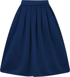 Taydey A-Line Pleated Vintage Skirt