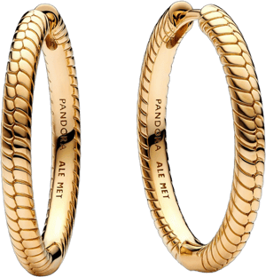 Pandora Moments Charm Hoop Earrings