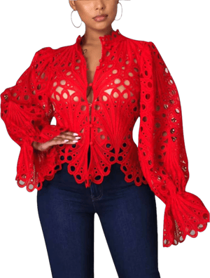 Women's Lace Ruffle Long Sleeve Puff Flare Tunic