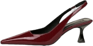 Taylor Swift Burgundy Patent Leather Slingback Pumps, Street Style