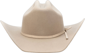 Seager Men's Longhorn Brimmed Wool Hat