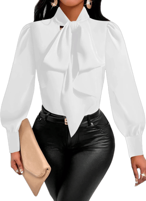 Vrtige Women's Elegant Bow Tie Neck Long Sleeve Blouse