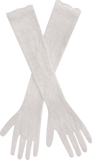 Miss Circle Rae Opera-Length Lace Gloves